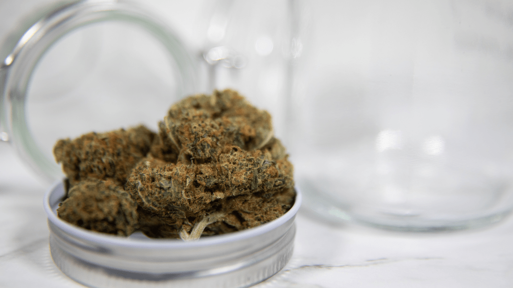 How Data Analytics Can Revolutionize Cannabis Cultivation