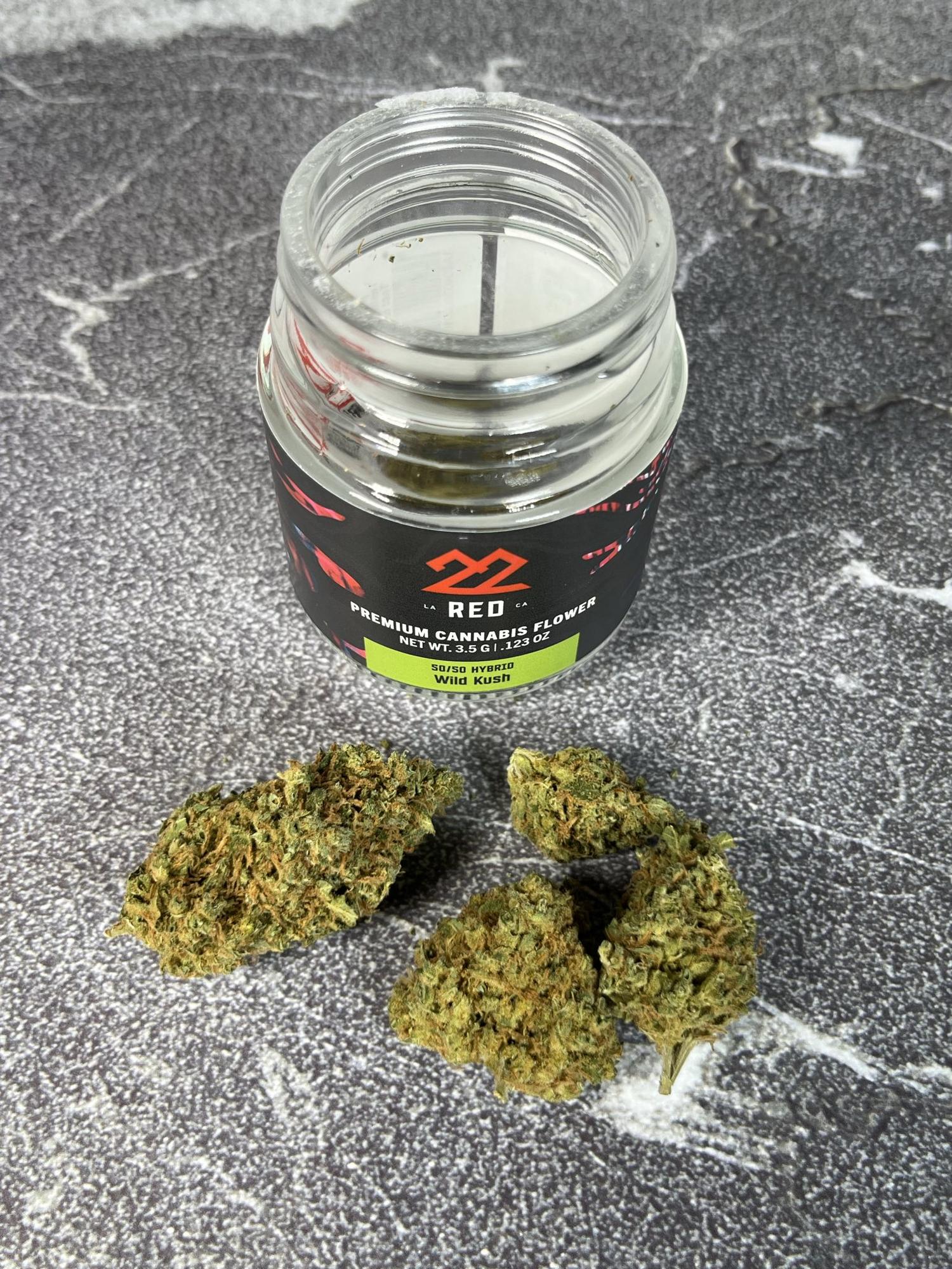 Top‑Tier Growers: Inside the Craft of Premium Cannabis Cultivation